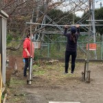 line_174551889657020